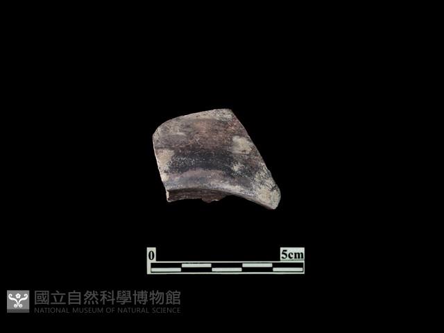 陶片藏品圖，第1張