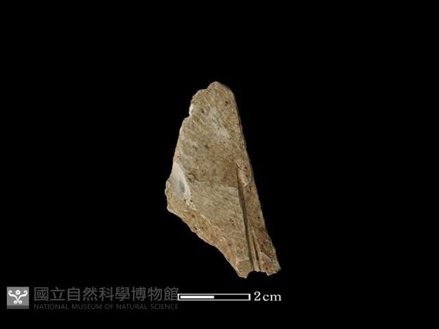 磨製石器藏品圖，第2張