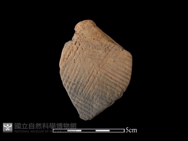 陶片藏品圖，第1張