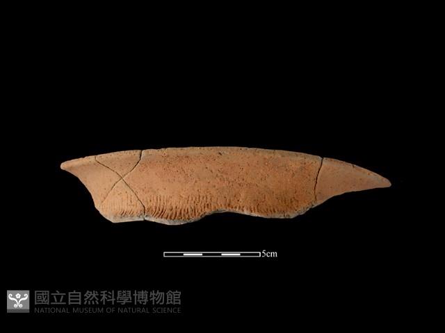 陶罐藏品圖，第2張