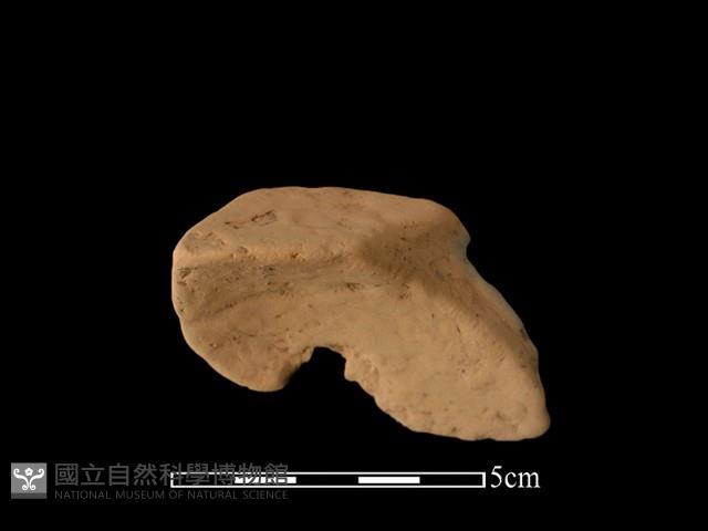 連杯形器藏品圖，第2張