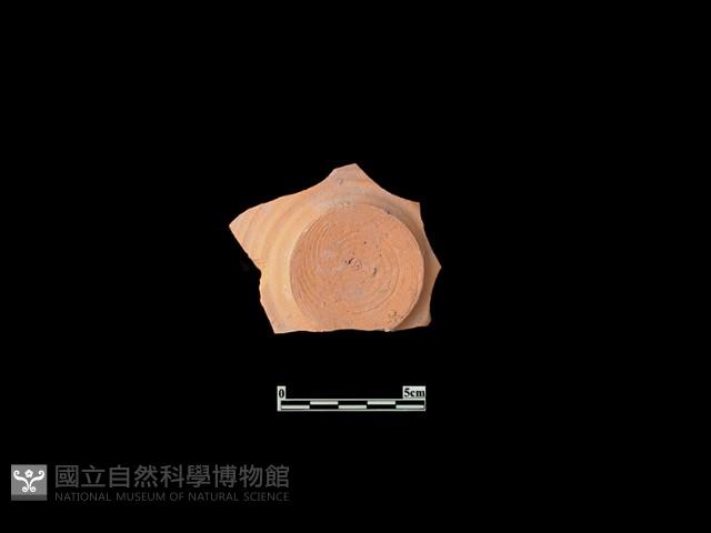 陶片藏品圖，第2張