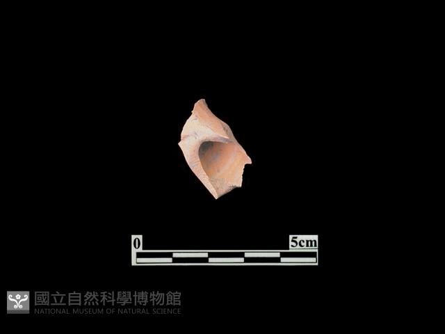 Accession Number:PTT-PP67 Collection Image