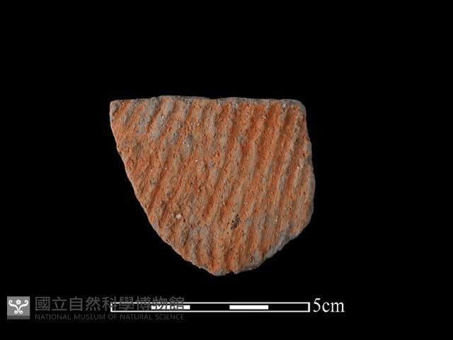 陶片藏品圖，第1張