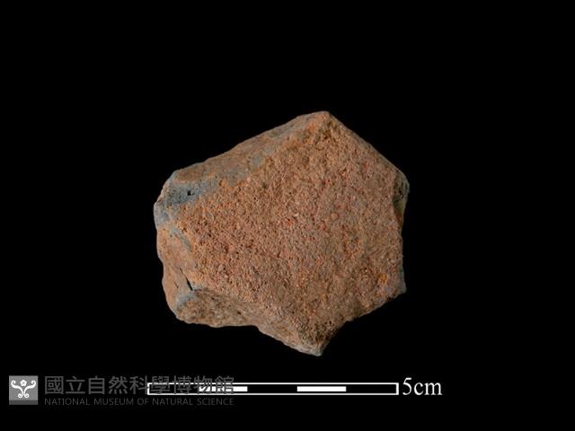 連杯形器藏品圖，第1張