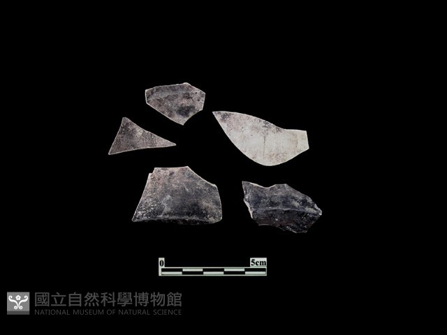 陶片藏品圖，第2張