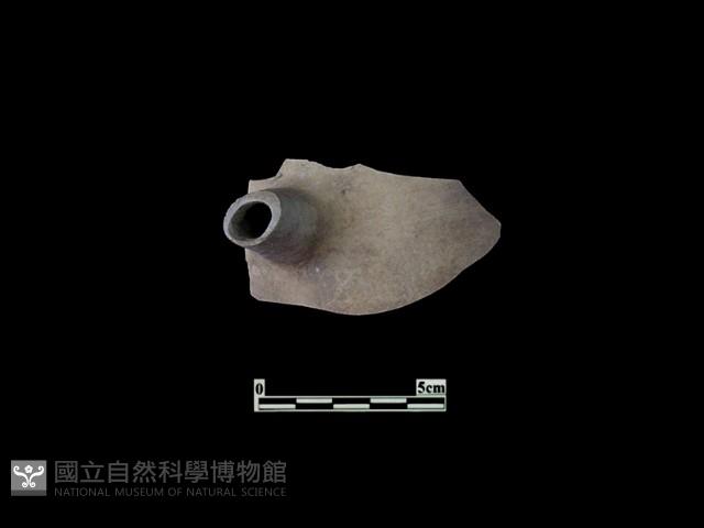 陶片藏品圖，第2張