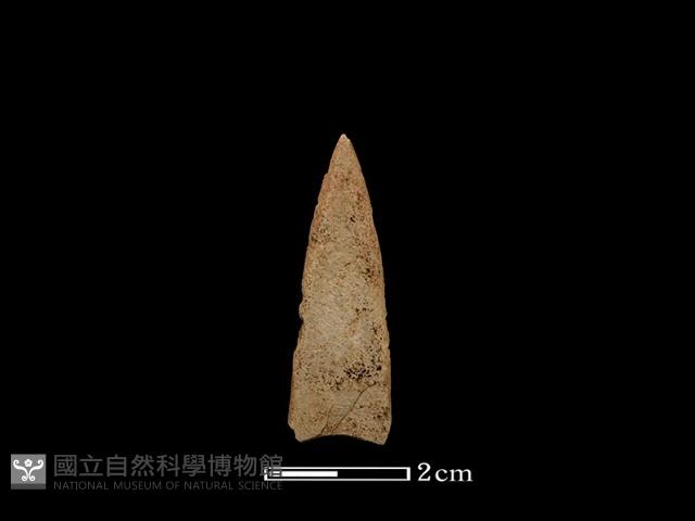 矛鏃形器藏品圖，第1張