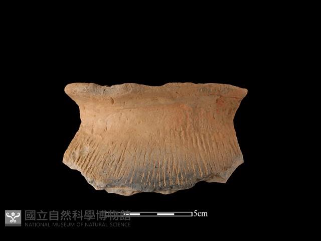 陶罐藏品圖，第2張