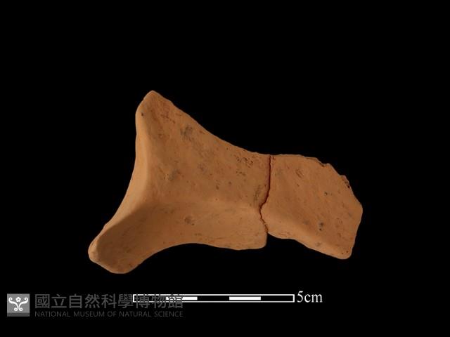 連杯形器藏品圖，第2張