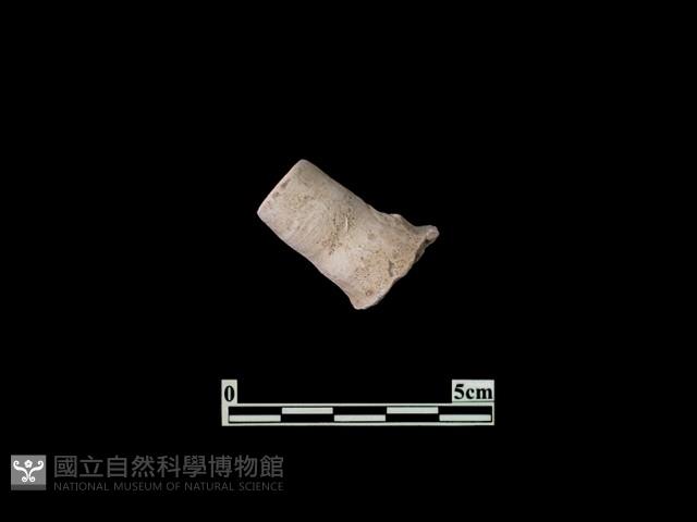 陶片藏品圖，第2張