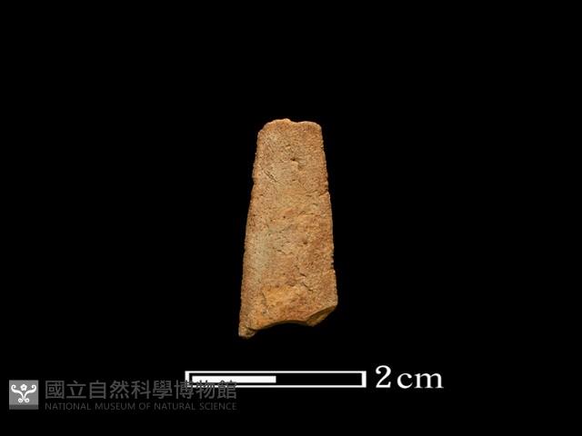 矛鏃形器藏品圖，第2張