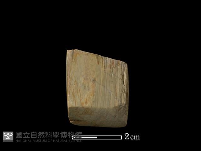 錛鑿形器藏品圖，第2張