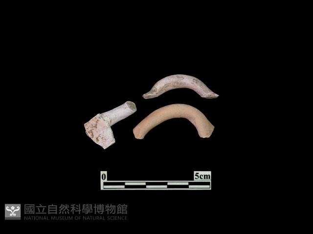 陶片藏品圖，第1張