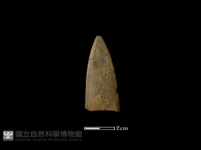 矛鏃形器藏品圖，第1張