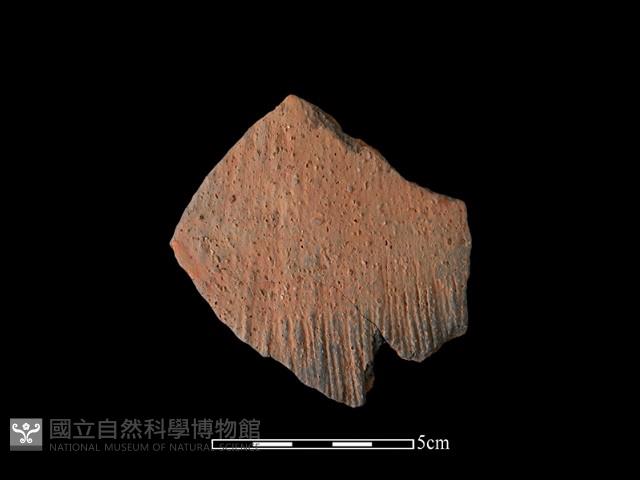 陶片藏品圖，第1張