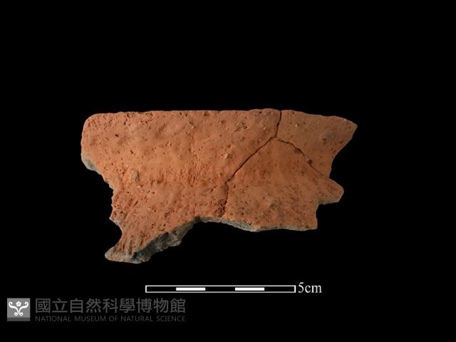 陶罐藏品圖，第1張