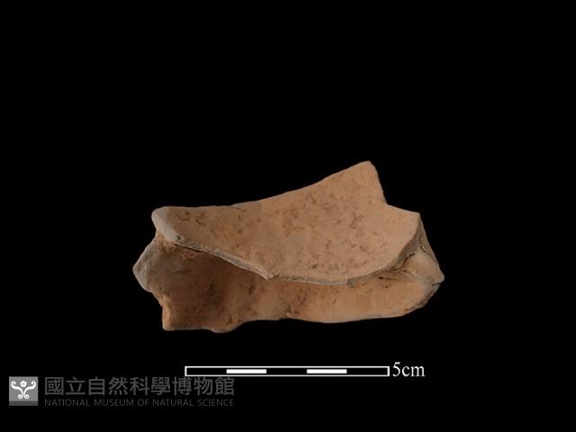 陶片藏品圖，第1張