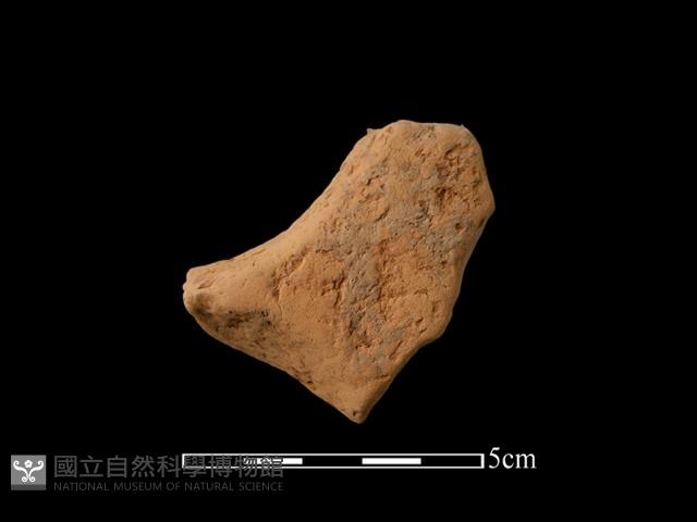 連杯形器藏品圖，第1張