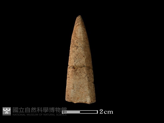 矛鏃形器藏品圖，第1張