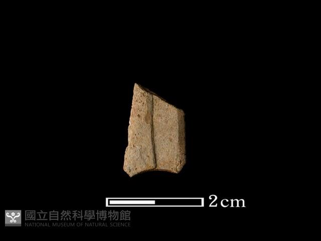 矛鏃形器藏品圖，第2張