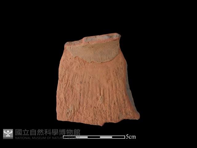 陶片藏品圖，第1張