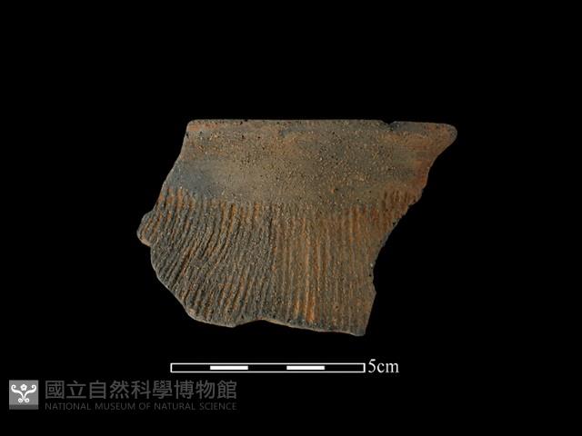 陶罐藏品圖，第1張