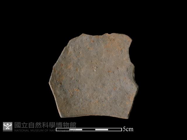 陶片藏品圖，第1張