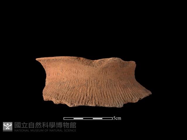 陶罐藏品圖，第1張