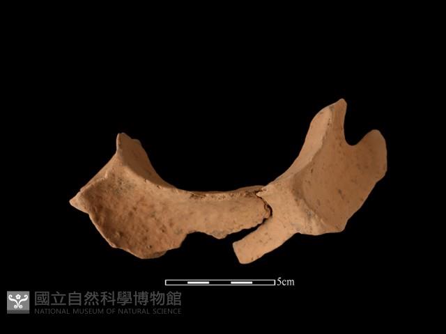 連杯形器藏品圖，第2張