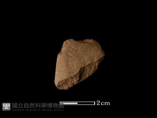 矛鏃形器藏品圖，第2張