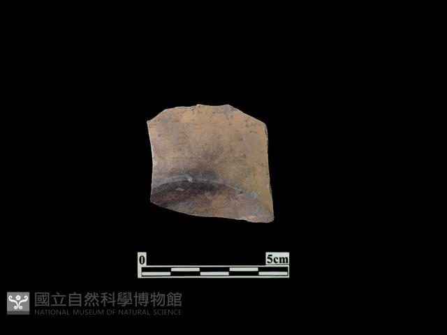 陶片藏品圖，第1張