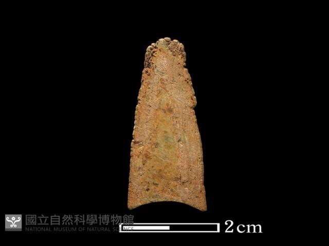 矛鏃形器藏品圖，第1張