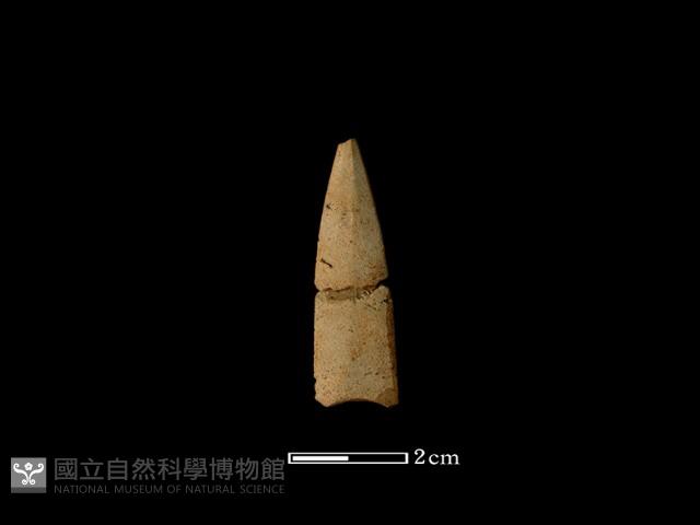 矛鏃形器藏品圖，第2張