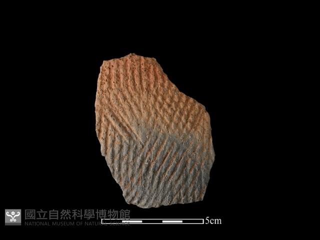 陶片藏品圖，第1張