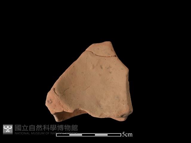 陶片藏品圖，第2張