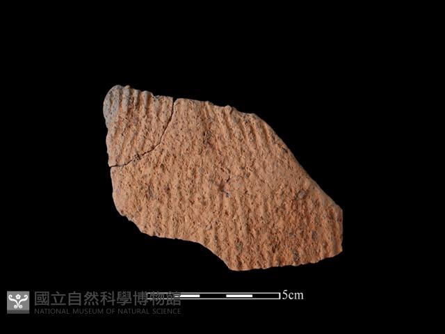 陶片藏品圖，第1張