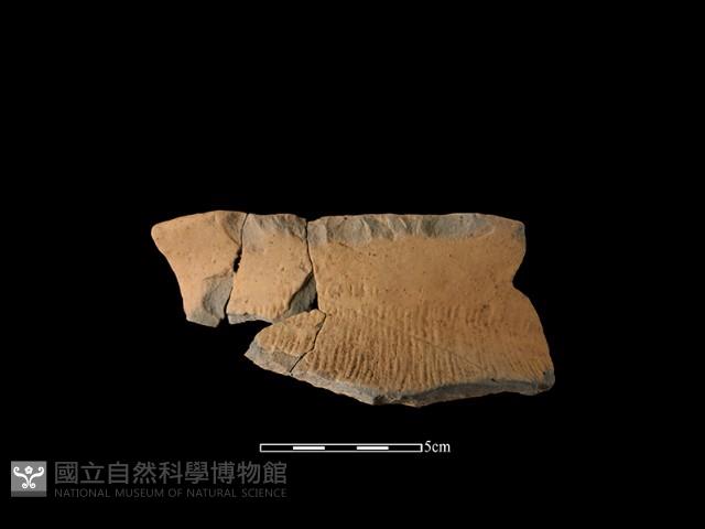 陶罐藏品圖，第1張