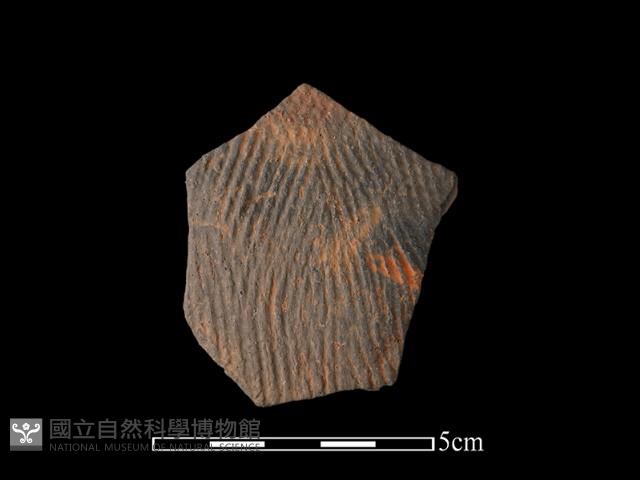 陶片藏品圖，第1張