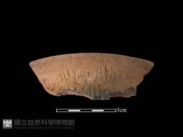 陶罐藏品圖，第1張