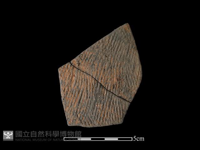 陶片藏品圖，第1張