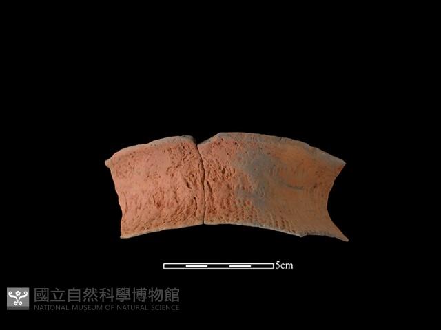 陶罐藏品圖，第2張