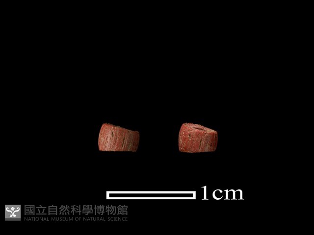 琉璃珠藏品圖，第2張