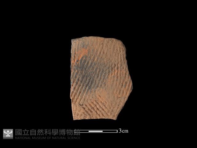 陶片藏品圖，第1張