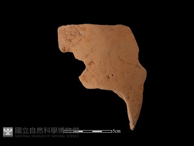 陶片藏品圖，第2張