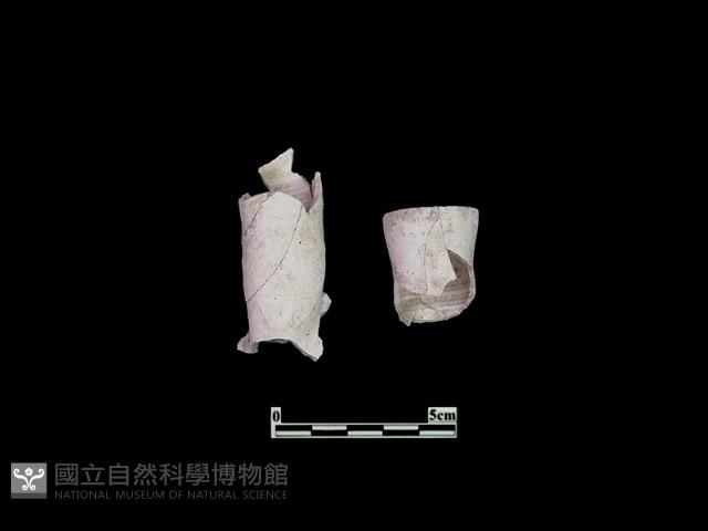 陶片藏品圖，第1張