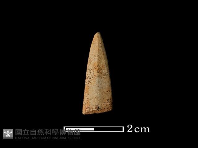 矛鏃形器藏品圖，第2張
