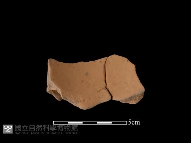 陶片藏品圖，第1張