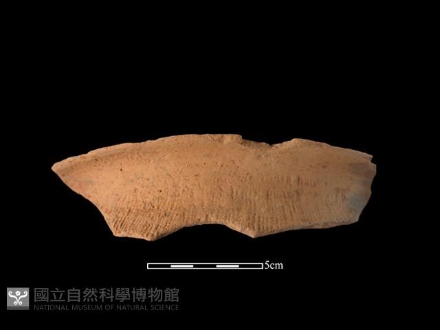 陶罐藏品圖，第2張