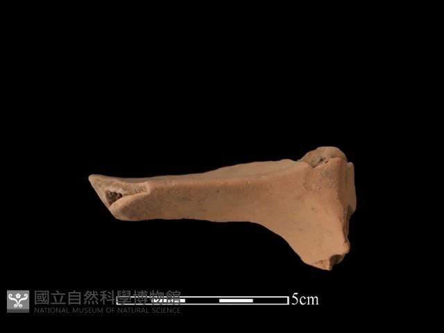 連杯形器藏品圖，第1張